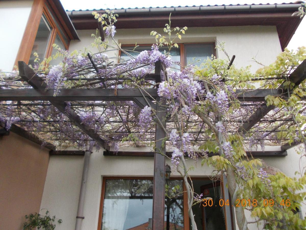 Sea & Garden Villa Varna Exterior foto